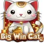 Big Win Cat